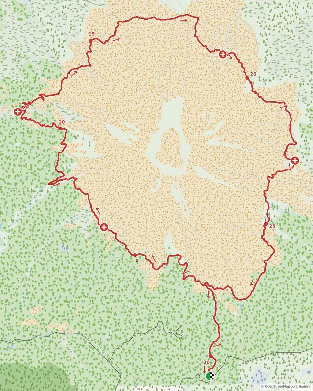A Forest decorative map of a looping trail course